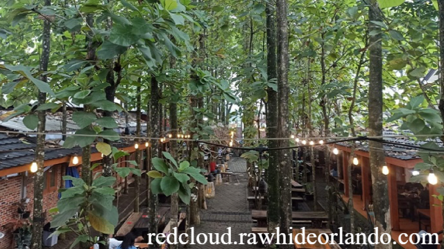 Kebun Latte Serpong: Oase Hijau untuk Pecinta Kopi dan Alam